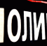Полиция - Новый Компаньон