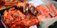 Фото: Саргын Скрябин / ЯСИА - Якутское-Cаха ИА