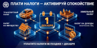 Единый срок уплаты имущественных налогов — 1 декабря - Бавлинский муниципальный район