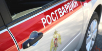 В Саранске нетрезвая женщина ехала на машине матери с сумкой на багажнике  - Pg13.Ru