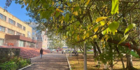 Фото: News29 - News29.Ru