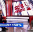 Как в крае представлен конный спорт и какие основные направления работы реализует «СШОР по конному спорту»? - Министерство физической культуры и спорта