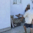 В САКСКОМ РАЙОНЕ ПРЕСЕЧЕНО НЕЗАКОННОЕ ХРАНЕНИЕ НАРКОСОДЕРЖАЩИХ РАСТЕНИЙ (ФОТО) - Rtv-Saki.Ucoz.Com