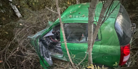 Под Кинешмой водитель Kia Picanto попал в больницу после столкновения с лосем - Известно.ру