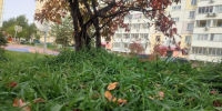В Хабаровске на выходных ожидается погода по климатической норме - ИА Хабаровский край сегодня