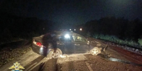 21-летняя девушка за рулём Honda Civic погибла на трассе под Ульяновском - Ulyanovsk.Express