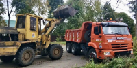 Ураганный ветер в Орле повалил 12 деревьев - Орловский Вестник
