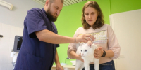 В Севастополе уведомили, где будут вакцинировать животных от бешенства 3 октября - Комсомольская Правда