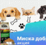 БЛАГОТВОРИТЕЛЬНАЯ АКЦИЯ «МИСКА ДОБРА» - Островский муниципальный район