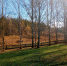 569N73lHoDiI0ml4qco0tl8JchV90HhSdwPuj0D5bGVvUDiTImRdHNThRlC3407Wa5OzB3_PhYlWWFkMtrSVnYPS.jpg - Музей-заповедник