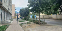 В Махачкале зафиксировали два случая повреждения и уничтожения деревьев - Министерство природных ресурсов