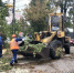 В Орле второй день устраняют последствия ураганного ветра - Комсомольская Правда