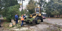 В Орле второй день устраняют последствия ураганного ветра - Комсомольская Правда