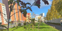 Фото организаторов акций в Архангельске и Вельске, предоставлено министерством природных ресурсов и ЛПК Архангельской области - Пресс-центр Правительства