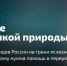 Голосуем за 100 редких видов - символов России - Комитет по охране, контролю и регулированию использования объектов животного мира