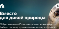 Голосуем за 100 редких видов - символов России - Комитет по охране, контролю и регулированию использования объектов животного мира