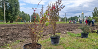 В Грязях продолжили благоустройство сквера 50-летия Победы - Единая Россия