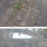 Фото: Сокольский сплетни - Вологда-поиск
