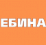 На картинке изображен баннер с надписью Вебинар. Баннер предоставлен автором статьи.. - Администрация Алтайского района