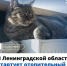Ленинградская область готова к зиме - Всеволожский район