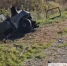 Четыре человека погибли в ДТП в Курганской области - M24.Ru