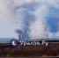 Пожар на оренбургской трассе - Ural56.Ru