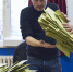 Памфилова: выборы атаковали «бандероуроды» и «киберсволочь» - ИА Общественная служба новостей