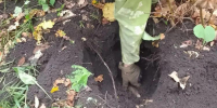 В Старом Осколе обнаружили 17 артснарядов - БелПресса