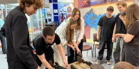 Новая экспозиция в краеведческом музее посвящена победе Красной Армии в советско-японской войне 1945 года - Газета Заря Урала