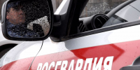В Удмуртии сотрудниками Росгвардии пресечен факт управления автомобилем нетрезвым водителем - Росгвардия