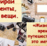 ЦГБ. Отдел абонемента. Цикл «Планета жизни». Выставка-обзор «Мир глазами путешественника». Ко дню Туризма - ЦБС г. Саратова