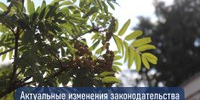 В силу постановления Правительства Российской Федерации от 02.06.2026 № 677 для организаций, эксплуатирующих объекты негативного воздействия на окружающую среду  I категории, отменена необходимость получения отдельных разрешений на выбросы загрязняющих веществ в атмосферный воздух. - Агаповский район