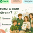 Школы России приглашают принять участие в «зеленом» рейтинге и получить до 120 тысяч рублей на экологическую инфраструктуру - StavropolNews.Ru