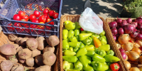 Как в конце сентября изменились цены на продукты в Астрахани  - Bloknot-Astrakhan.Ru