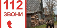 В СВЯЗИ С УЧАСТИВШИМИСЯ СЛУЧАЯМИ ВЫХОДОВ МЕДВЕДЕЙ К НАСЕЛЕННЫМ ПУНКТАМ, ПРОСИМ ОБРАТИТЬ ВНИМАНИЕ НА ДАННУЮ ИНФОРМАЦИЮ. - Северо-Енисейский муниципальный округ