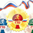 Знаете ли вы, что знак ГТО — это не просто награда за спортивные достижения, а реальный бонус в жизни?. - Администрация Приволжского района
