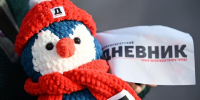 Талисман «Петербургского дневника» пингвин Пломбир возвращается из экспедиции вокруг Ладожского озера - Spbdnevnik.ru