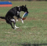 Ловкость и сила — в программе "Дело ведёт Мур‑р‑р" - Республиканская телевизионная сеть