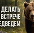 памятка о действиях при встрече с бурым медведем - Мантуровский муниципальный округ