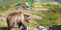 Продолжается прием заявок на студенческую стипендиальную программу Президентского фонда природы - Технологический институт