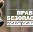 Памятка "Как вести себя при встрече с медведем" - Островский муниципальный район