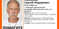 Пенсионер пропал в калужском лесу - Телерадиокомпания Ника