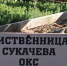 РОО «Зелёная Башкирия» приглашает на акцию «Посади лес» в природном парке «Кандрыкуль» - Общественная палата РБ