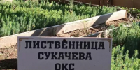 РОО «Зелёная Башкирия» приглашает на акцию «Посади лес» в природном парке «Кандрыкуль» - Общественная палата РБ