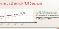 Малое и среднее предпринимательство Псковской области в цифрах. ИНФОГРАФИКА - Pln-Pskov.Ru