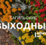 Тагильские выходные, топ-7: акустический блюз, игры с фразеологизмами, брайль-арт и легендарные французские кино-полицейские - Между Строк