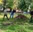 В Ленинском районе проведены работы по уборке бытового мусора - Город Пенза