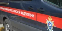 В Уфе возбудили уголовное дело после нападения собаки на ребенка - Башинформ