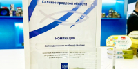 Рыбный союз России наградил правительство Калининградской области за вклад в продвижение рыбной продукции - Министерство экономического развития