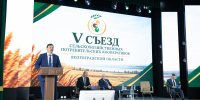 Сельхозкооперативы Волгоградской области увеличивают объем производства - Администрация области